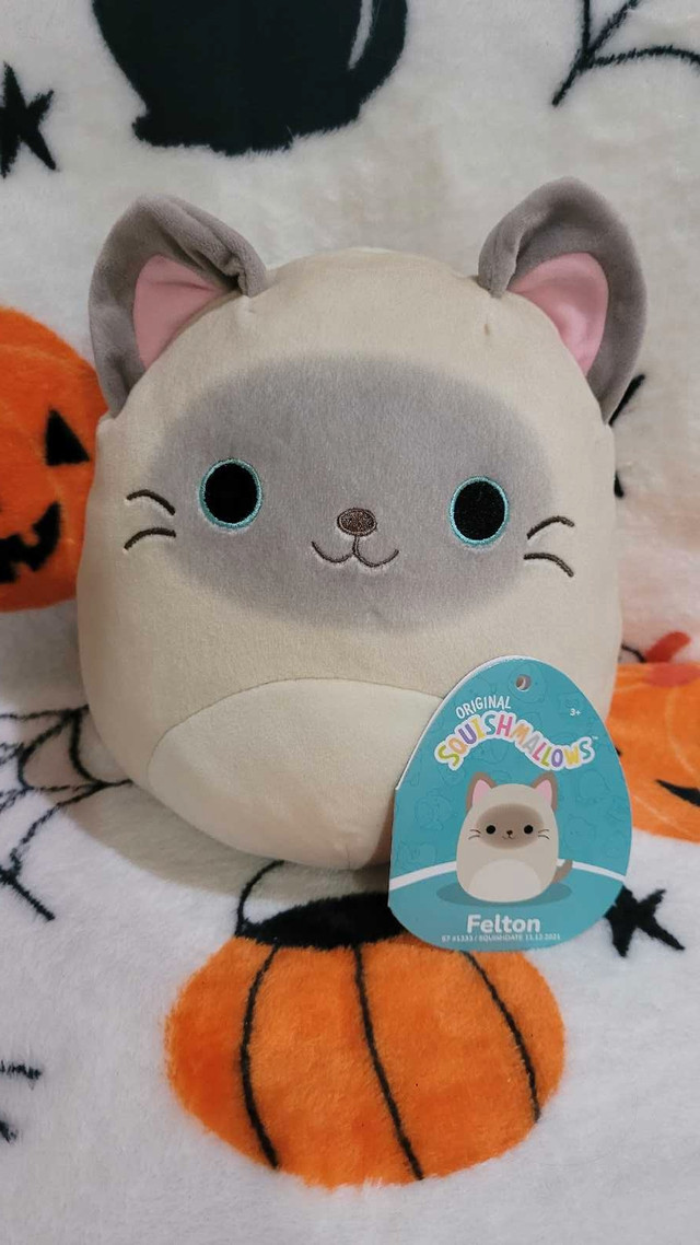 8" cat squishmallows  in Toys & Games in Barrie - Image 2