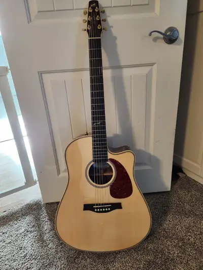 SEAGULL ARTIST STUDIO CW ELEMENT ACOUSTIC GUITAR with case plus, View more