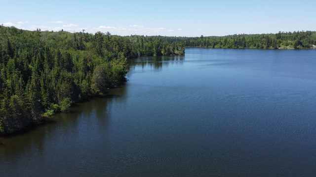 Parcel D.181 - Approx 1 mile of shoreline and 45 Acres of land! in Land for Sale in Kenora - Image 4