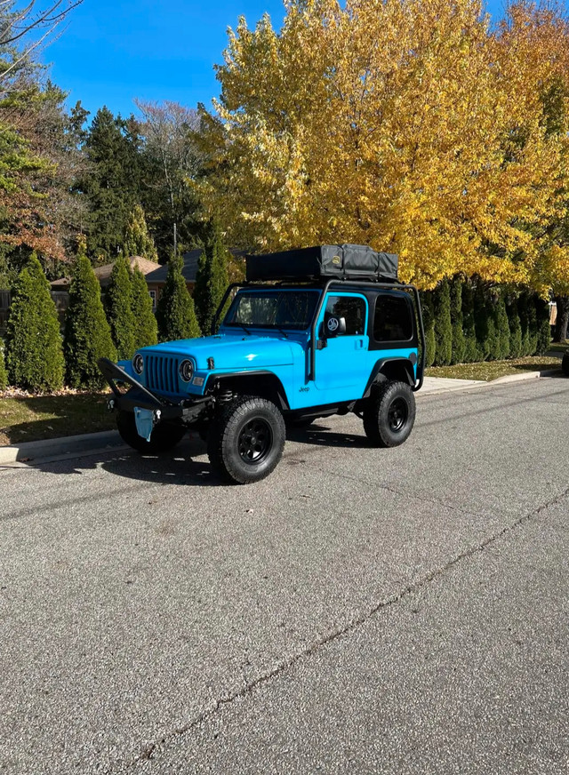 2003 TJ  Professionally done body work including paint in Cars & Trucks in Sarnia - Image 2