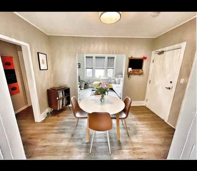 Olde Walkerville/Apartment/2 BD/1BA Long Term Rentals Windsor