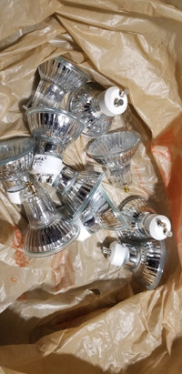GU10 (Halogen) and A19 (CFL) Bulbs