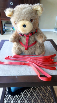 Red “Ruffin’it” Step-In fully Adjustable Harness & long Leash.