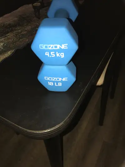 weights set of two 10 pounds each $15, View more