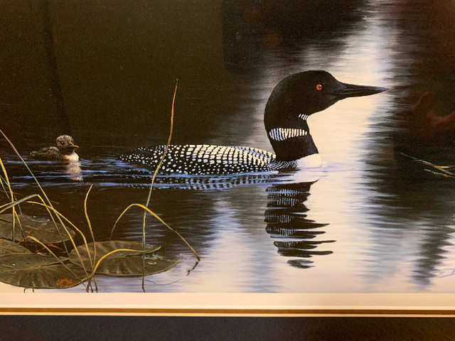 NICE LOON AND BABY PRINT SIGNED BY ARTIST 34” x 17” in Arts & Collectibles in Saskatoon - Image 3