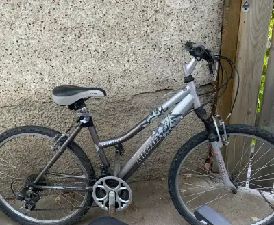 Infinity Superior Mountain Bike, View more