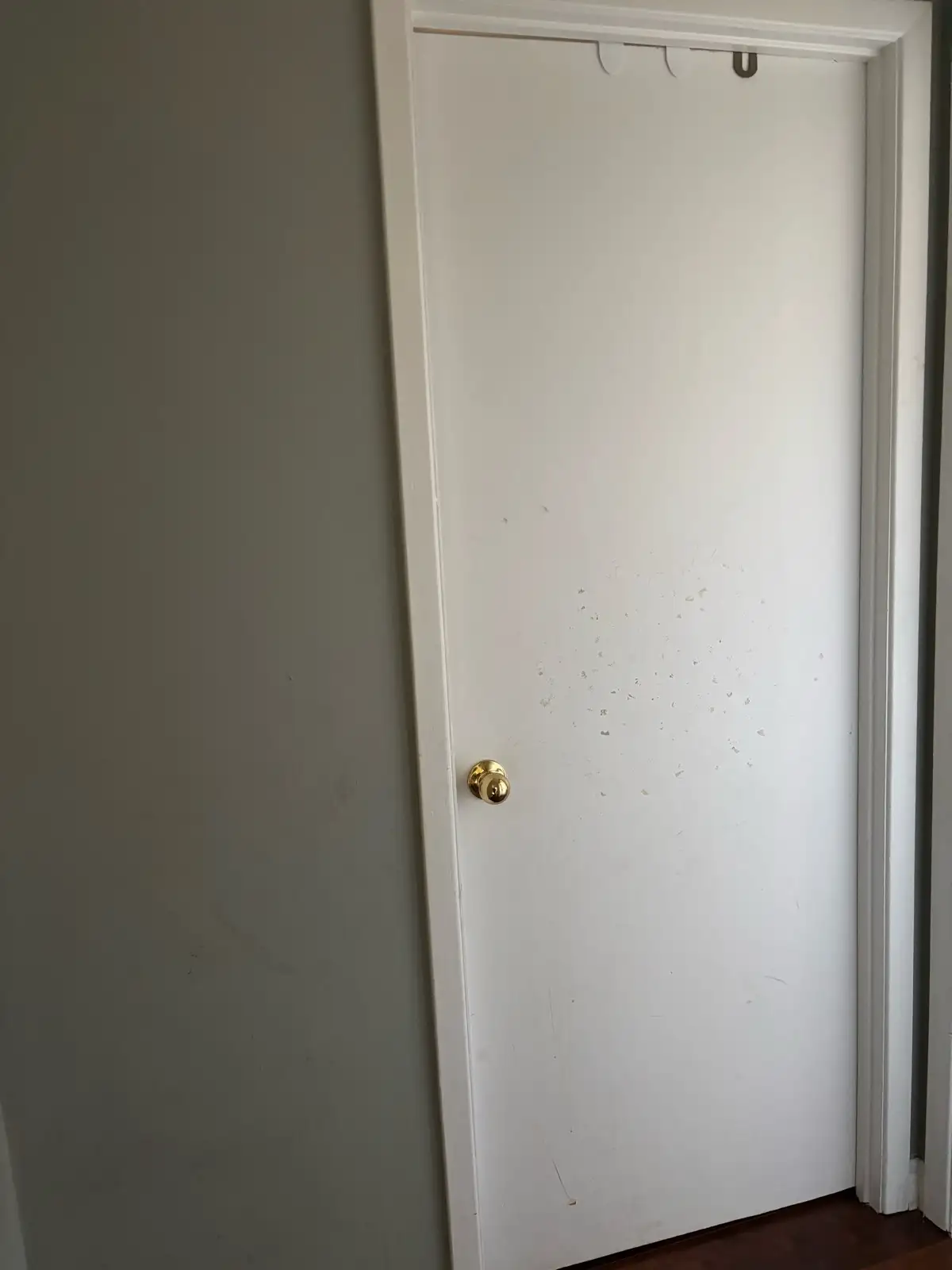 pictures of the unit