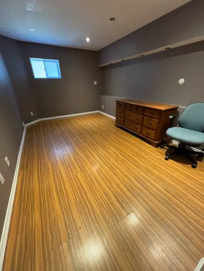 Large species room in the walkout basement