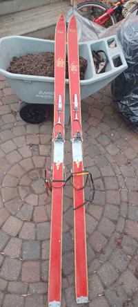 Vintage skis stored 50+ years