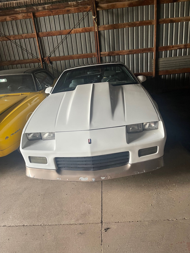 Rust free 3rd gen camaro with ttops and GM factory cowl hood | Classic