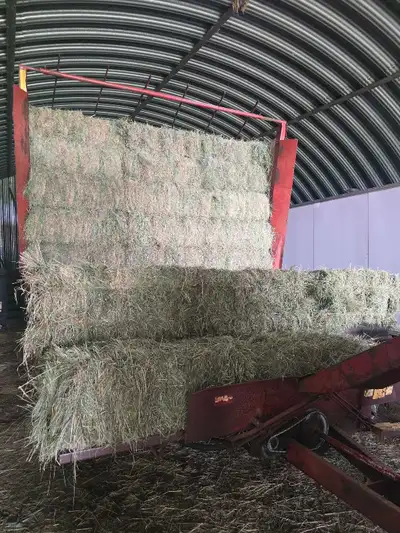 2026 hay bale baled dry with 4570 inline baler and stored/covered. Currently have about 200 made, wi...
