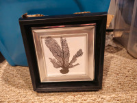 Framed decor photo