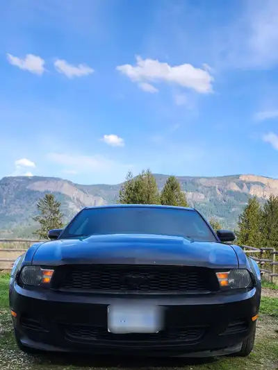 2012 mustang 3.7l v6. Has a aftermarket stero, cat back exhaust brand new all seasons bought this Ap...