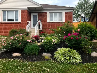 Basement for rent
