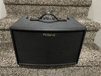 Roland Acoustic Guitar Amplifier