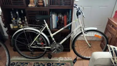 Raleigh Urban City Bike – Stylish & Reliable!, View more