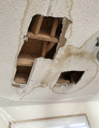 -Drywall Repairs~ Damage Hole, Water Leak, Smooth, Mold Removal