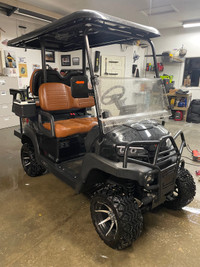 2024 Electric Golf Carts Available 