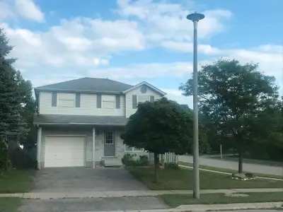 Spacious! 2 min walk to Grocery store  & direct bus to UofG!