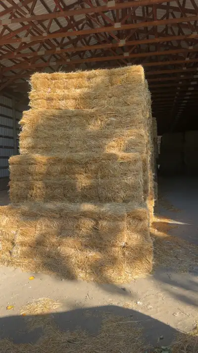Small straw and hay bales, View more