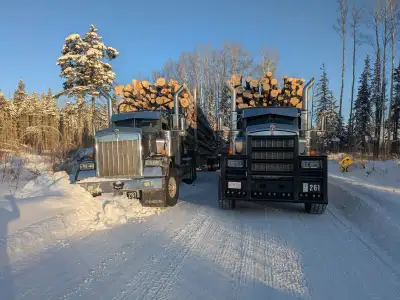 Looking for 1 experienced log hauler to haul in Alpac. 10 axle king Newer units. Mechanics on shift...