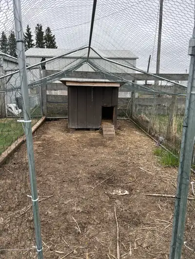Chicken run 10x18 Bars are bent but aluminum so should be able to bend back. Can come with the littl...