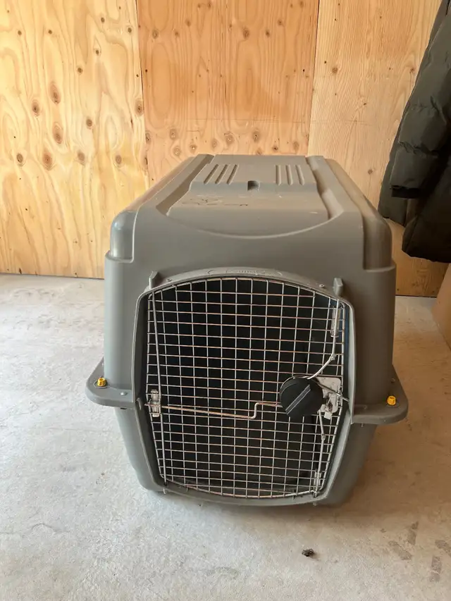 Cage in Accessories in Lanaudière - Image 2