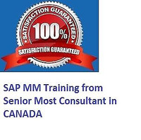 SAP HANA MM Training From Senior Most Consultant 647-878-5378