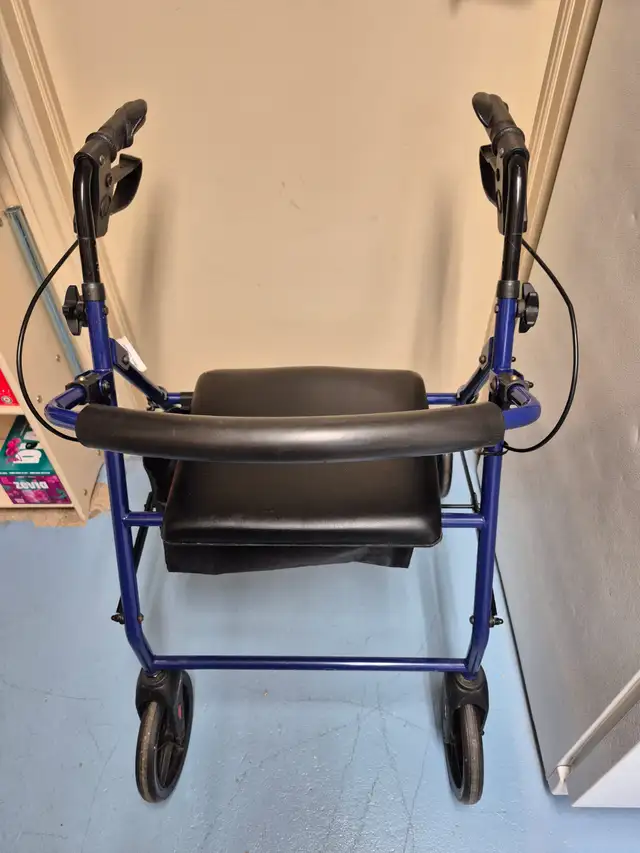 Walker (Rollator)557921968346910723