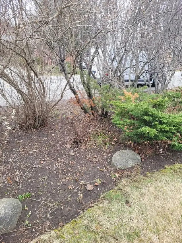 landscaping & lawn maintenance  in Lawn, Tree Maintenance & Eavestrough in City of Toronto - Image 3