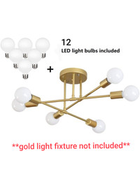 12 Pack LED Globe Light Bulbs
