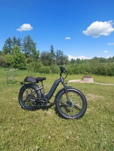 Voltbike ebikeV2 step-thu, View more