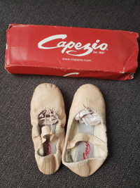 Chaussons de ballet/ Ballet slippers