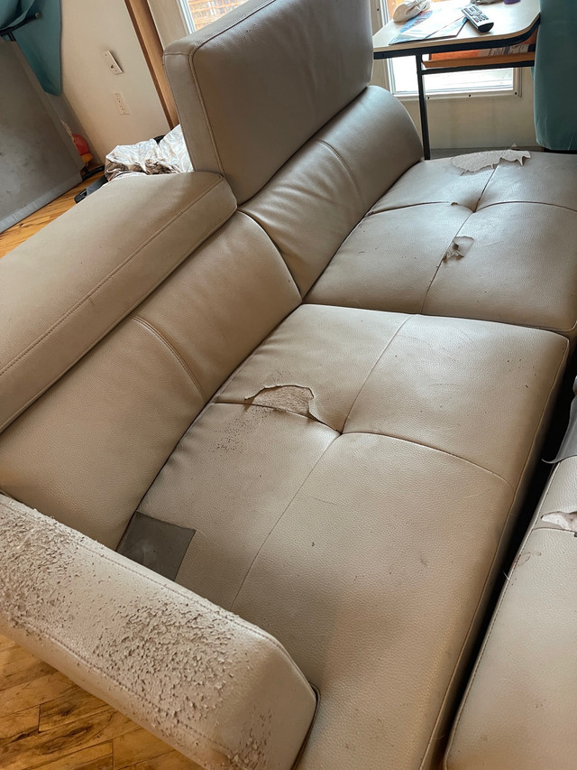 Free Couch in Free Stuff in Edmonton - Image 4
