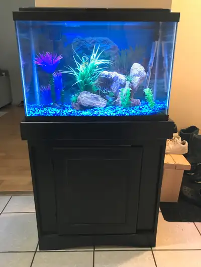 I have a 20 gallon aquarium available : ONLY $150 - 20 gallon aquarium 24"x12"16" - Black Monarch wo...