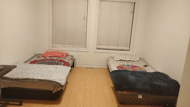 shared-and-private-rooms-for-rent-near-mississauga-squareone-room