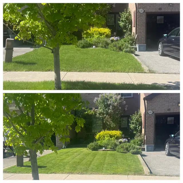 Scarborough, East York and Leaside Grass Cutting in Lawn, Tree Maintenance & Eavestrough in City of Toronto - Image 11