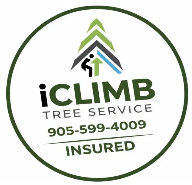 We heard you needed help with your trees