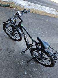 Gotrax Ebe2 electric bike 