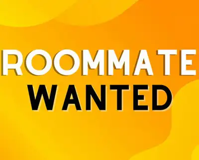 Looking for roomate , View more