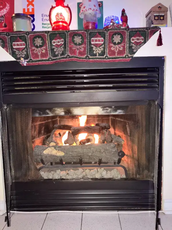 Insert Set for Fireplace Gel Fuel Concrete Fire Log in Fireplace & Firewood in City of Montréal - Image 6