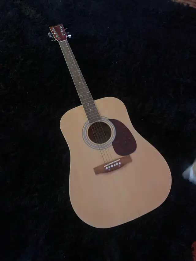 Burswood JW-41F Acoustic Guitar w Case & two picks62863738880131121