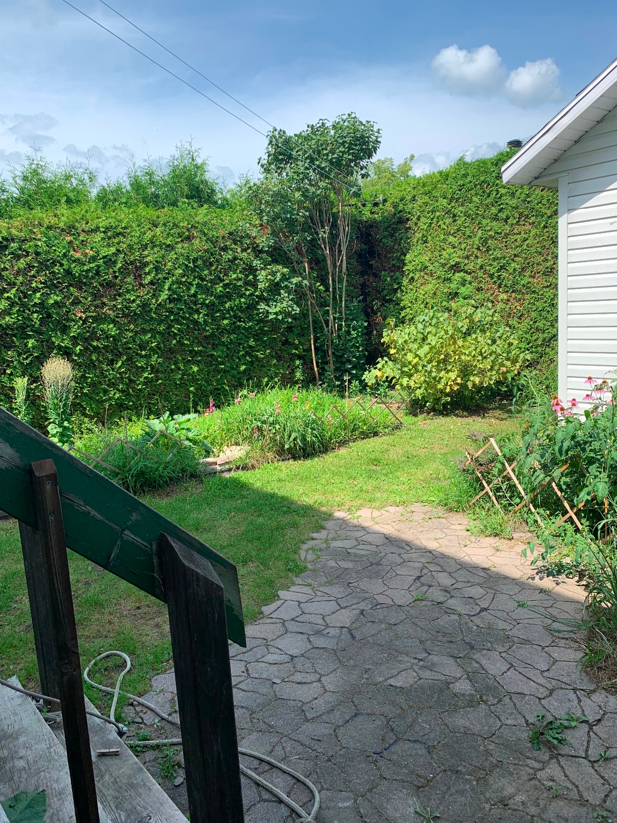 25 Rue Félix-Leclerc — photo 3