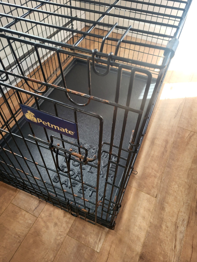 Large Dog Kennel in Accessories in Truro - Image 2