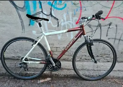 Vélo confort Raleigh Campus 26 po, View more