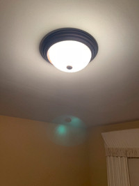 Four Flushmount Lights with Frosted Glass Shade