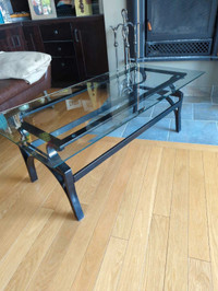 2' by 4' coffee table "great condition"