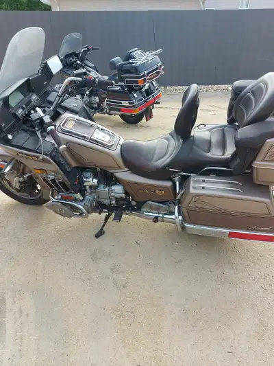 1984 Honda Goldwing Aspencade 1200. I drove this bike last year. Not safetied. Runs and drives. No b...