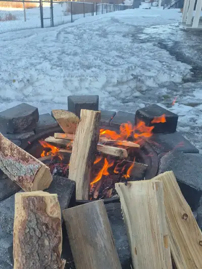Get ready to cozy up with our premium tamarack firewood, perfect for those chilly evenings! This fir...