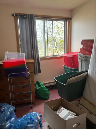 apt for rent